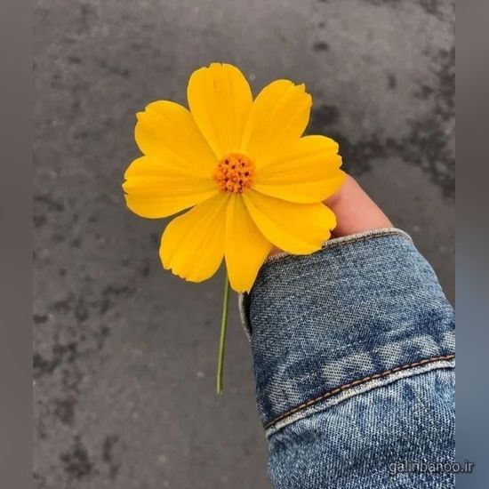 مدل عکس پروفایل دخترونه لاکچری اینستا 2023 - 1402