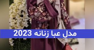 مدل عبا زنانه 2023; مجلسی همراه با کار دست و ساده