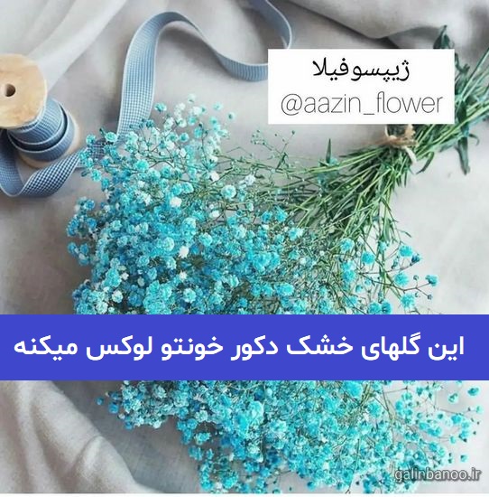 این گلهای خشک دکور خونتو لوکس میکنه 2023