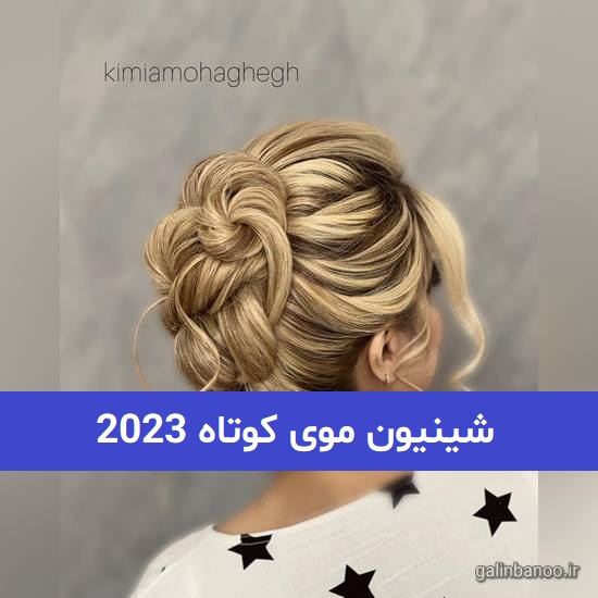 شینیون موی کوتاه 2023; شینیون موی کوتاه و کم پشت در منزل