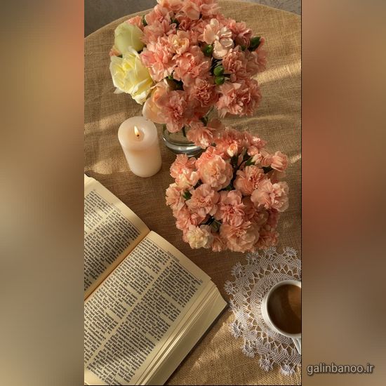 عکس گلهای زیبا برای پروفایل 2023 - 1402