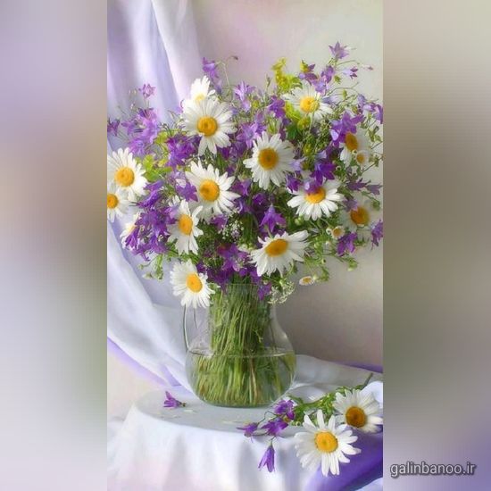 عکس گلهای زیبا برای پروفایل 2023 - 1402
