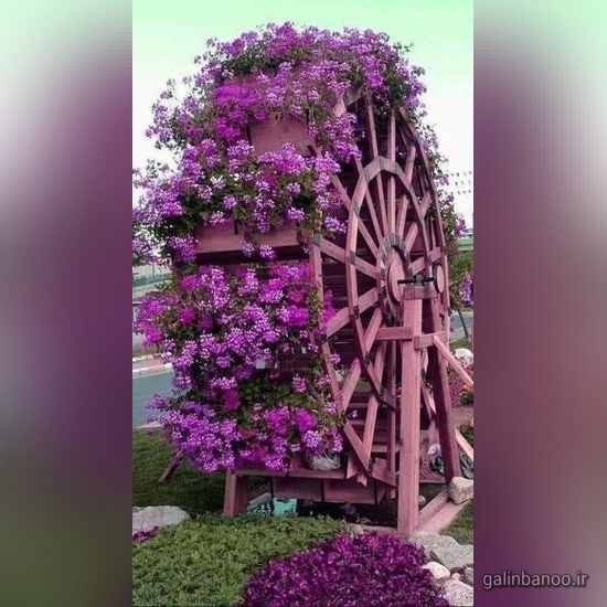 عکس گلهای زیبا برای پروفایل 2023 - 1402