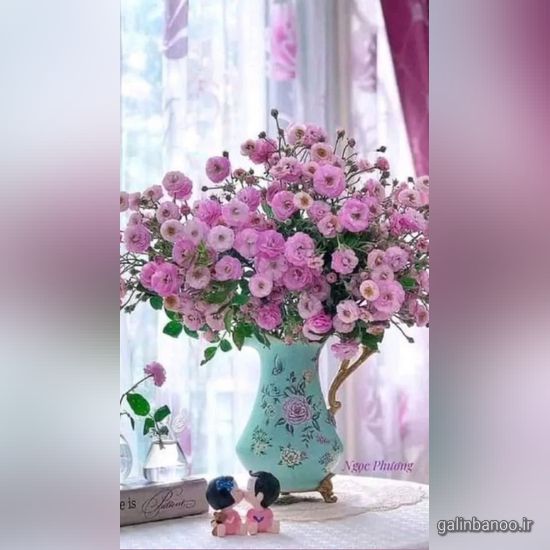 عکس گلهای زیبا برای پروفایل 2023 - 1402