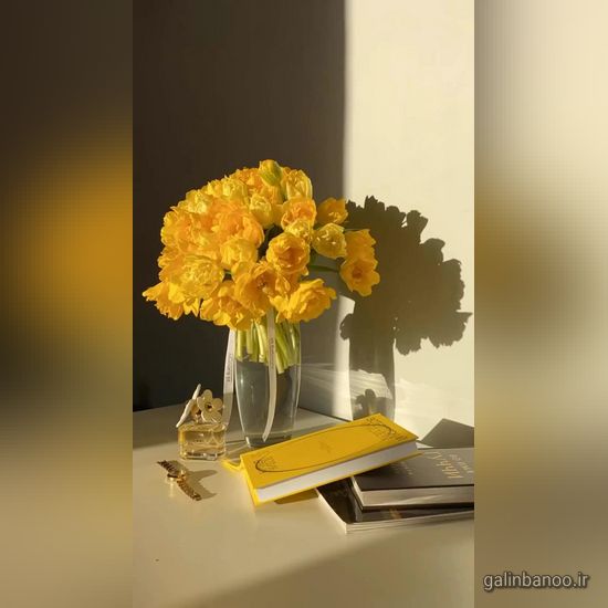 عکس گلهای زیبا برای پروفایل 2023 - 1402