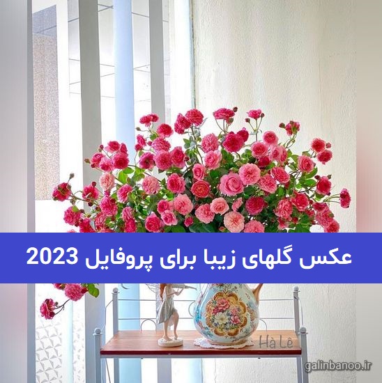عکس گلهای زیبا برای پروفایل 2023; بدون متن و بسیار زیبا