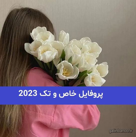 پروفایل خاص و تک 2023; ویژه فضای مجازی