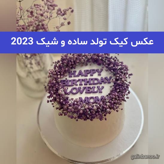 عکس کیک تولد ساده و شیک 2023