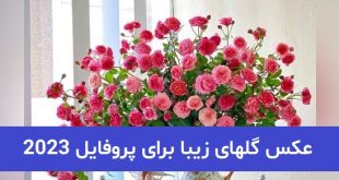 عکس گلهای زیبا برای پروفایل 2023; بدون متن و بسیار زیبا