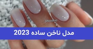 مدل ناخن ساده 2023; برای خانم های ساده پسند