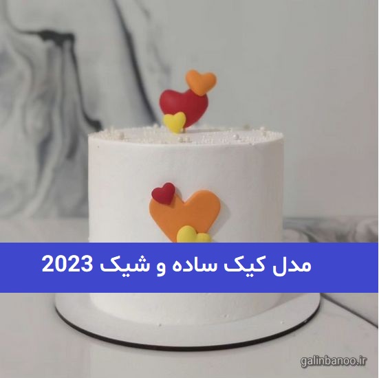 مدل کیک ساده و شیک 2023