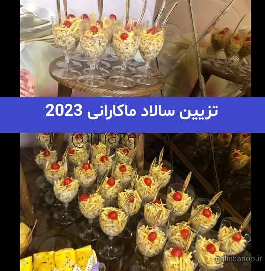 تزیین سالاد ماکارانی 2023; مجلسی تک نفره و دیسی