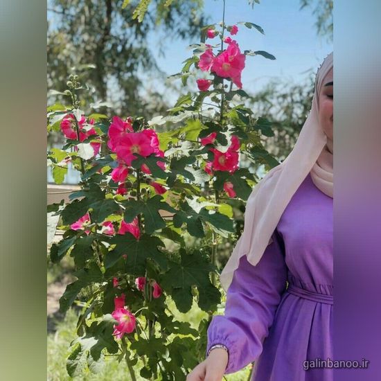 مدل عکس دختر با حجاب خوشگل برای پروفایل 2023 - 1402