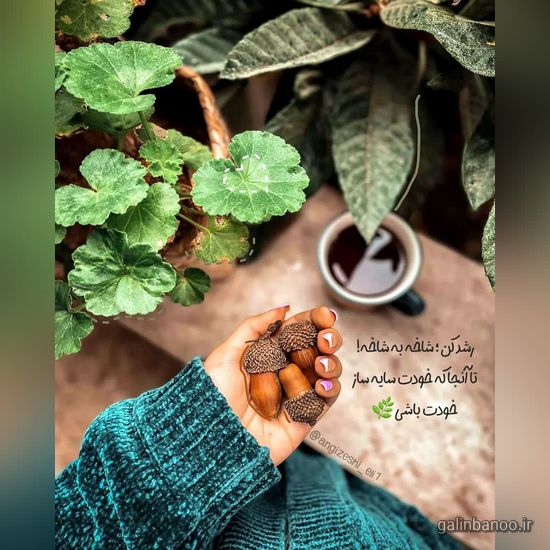 عکس نوشته های زیبا و جدید 2023; با عکس های هنری جدید