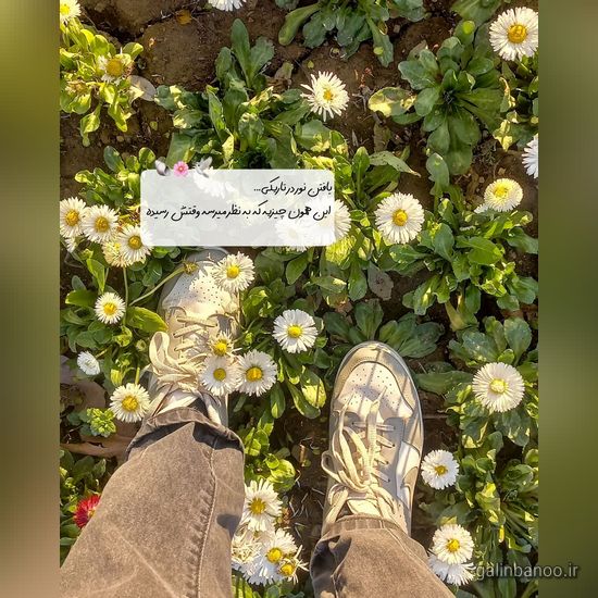 عکس نوشته های زیبا و جدید 2023; با عکس های هنری جدید