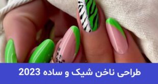 طراحی ناخن شیک و ساده 2023; جهت ایده برای ترند های بروز