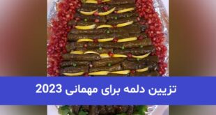 تزیین دلمه برای مهمانی 2023