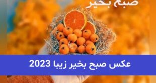 عکس صبح بخیر زیبا 2023; برای استوری زیبا و مثبت