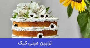 تزیین مینی کیک 2023; کیوت با متنهای زیبا