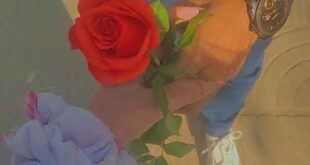 ژست عکس دونفره لاکچری 2023; برای استوری بدون چهره