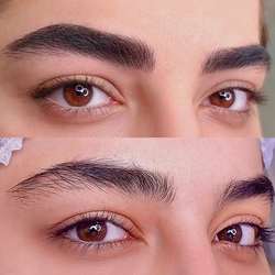 نمونه کار ابرو شبنم راد